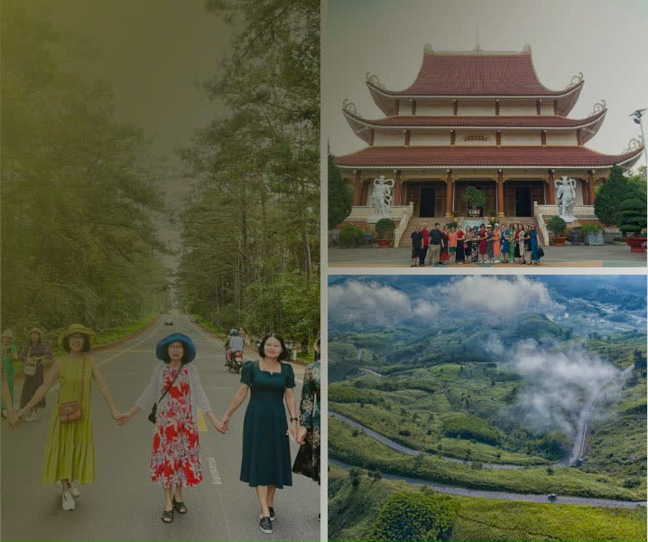 Tour Mùa Hoa Anh Đào