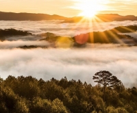 Bí kíp chinh phục Hòn Bồ Đà Lạt: Dành cho dân mê trekking