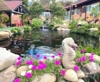 Cá Koi Homestay: View sân vườn hồ cá đẳng cấp, thư giãn cực chill.
