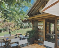Cafe Farmstay Gia Lai: Thư giãn giữa nông trại cà phê xanh mát