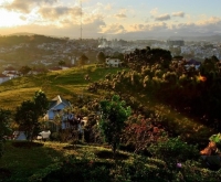 Đà Lạt tháng 7/2026: Thời tiết lý tưởng & Địa điểm hot nhất