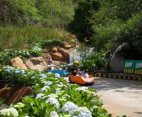 Đánh giá Cao Nguyên Hoa Đà Lạt 2026: Trải nghiệm và Giá vé