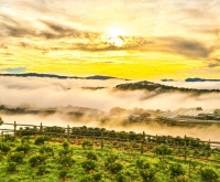 Đánh giá chi tiết Khu Đồi Mây Đà Lạt và giá vé dự kiến 2026