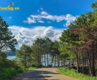 Dạo bước Rừng thông Biển Hồ: Không gian xanh mát, bình yên vĩnh cửu