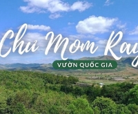 Giá vé mới nhất các điểm du lịch Kon Tum: Cập nhật chi phí tham quan