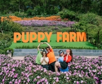 Gợi ý lịch trình Đà Lạt 2N1Đ hoàn hảo: Tận hưởng trọn vẹn xứ sở sương mù