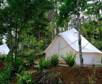 Homestay Kon Tum view săn mây tuyệt đẹp, chốn nghỉ dưỡng lý tưởng