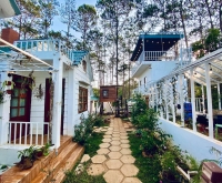 Homestay Nắng Đà Lạt: Dịu êm, nhẹ nhàng như tia nắng ban mai