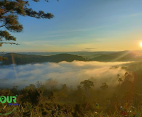 Hướng dẫn săn mây Măng Đen từ A-Z, dành riêng cho người mới