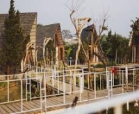 In The Pines: Homestay rừng thông, chốn riêng cho người yêu thiên nhiên