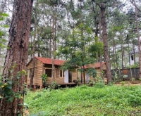 Khám Phá Thiên Hương Homestay Măng Đen - Chốn An Yên Giữa Rừng Thông