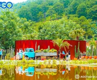Kombi Land Đà Lạt: Vườn xương rồng lớn nhất, trải nghiệm độc đáo