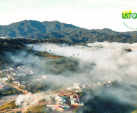 Măng Đen: Trải nghiệm săn mây bồng bềnh giữa đại ngàn hùng vĩ