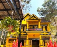 Măng Đỏ Quán Măng Đen: Khám phá hương vị núi rừng đặc trưng