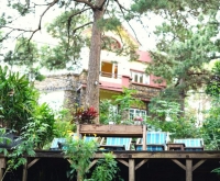 Moonrise Garden Đà Lạt: Homestay tựa tranh, vườn thơ mộng