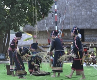 Tái hiện nghi lễ ăn lúa mới truyền thống của người dân Gia Lai