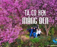 Tips chụp ảnh mùa hoa sim tím ở Măng Đen