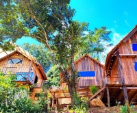 Tổ Chim Ri Măng Đen - Trải Nghiệm Homestay Độc Đáo Giữa Rừng Thông Xanh