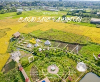 Trải nghiệm Nông trại sinh thái xanh mát bên hồ Ea Kao tuyệt đẹp