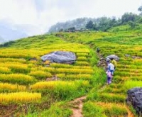 Trekking Kon Tum: Khám Phá Đại Ngàn, Chinh Phục Thử Thách