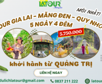 Tour Quảng Trị - Gia Lai - Măng Đen - Quy Nhơn 5 Ngày 4 Đêm