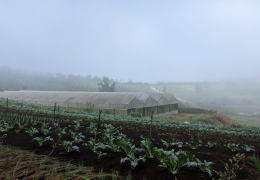 Bản địa hóa trải nghiệm ở Măng Đen