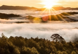 Bí kíp chinh phục Hòn Bồ Đà Lạt: Dành cho dân mê trekking