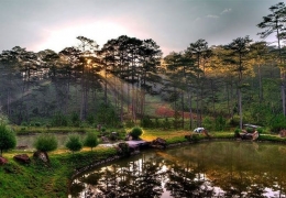 Bidoup – Núi Bà Đà Lạt: Thiên đường trekking, săn mây tuyệt đẹp