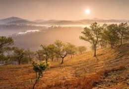 Bỏ túi kinh nghiệm săn mây đồi Thiên Phúc Đức Đà Lạt đỉnh cao