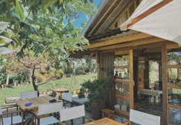 Cafe Farmstay Gia Lai: Thư giãn giữa nông trại cà phê xanh mát
