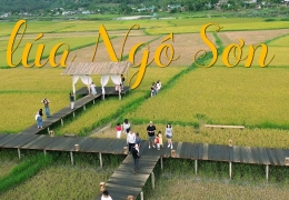 Cafe Lúa Ngô Sơn Gia Lai: Đậm đà hương vị núi rừng Tây Nguyên