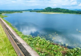 Camping hồ Ea Kao: Trải nghiệm cắm trại hoang sơ, yên bình Đắk Lắk.