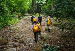 Chinh phục Trekking Vườn Quốc gia Kon Ka Kinh - Kỳ vĩ núi rừng Tây Nguyên