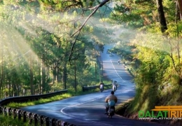 Combo Đà Lạt 2026: Vé máy bay + Khách sạn 3 sao giá ưu đãi