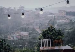 Đà Lạt ở đâu? Khám phá sức hút mê hoặc của xứ sương mù.