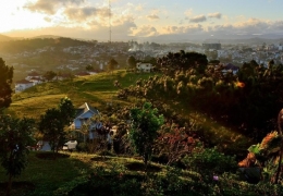 Đà Lạt tháng 7/2026: Thời tiết lý tưởng & Địa điểm hot nhất