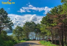 Dạo bước Rừng thông Biển Hồ: Không gian xanh mát, bình yên vĩnh cửu