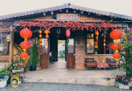 FinDi Farm Cafe Gia Lai: Nơi thư thái giữa đại ngàn xanh mát