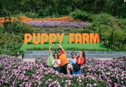 Gợi ý lịch trình Đà Lạt 2N1Đ hoàn hảo: Tận hưởng trọn vẹn xứ sở sương mù