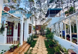 Homestay Nắng Đà Lạt: Dịu êm, nhẹ nhàng như tia nắng ban mai