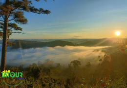 Hướng dẫn săn mây Măng Đen từ A-Z, dành riêng cho người mới