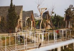 In The Pines: Homestay rừng thông, chốn riêng cho người yêu thiên nhiên