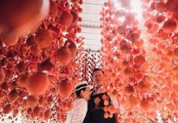 Khám phá 5 vườn hồng Đà Lạt đẹp mê hồn, tham quan miễn phí