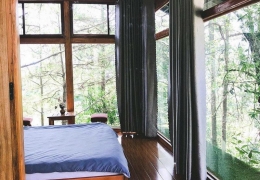 Khám phá Nomini Đà Lạt: Homestay bình yên giữa phố núi mộng mơ