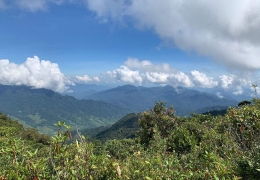 Khám phá Núi Ngọc Linh Kon Tum: Vẻ đẹp hùng vĩ và sâm quý hiếm