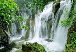 Khám phá Thác Cam Ly Đà Lạt: Cẩm nang & tình trạng tham quan mới nhất