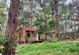 Khám Phá Thiên Hương Homestay Măng Đen - Chốn An Yên Giữa Rừng Thông