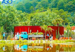Kombi Land Đà Lạt: Vườn xương rồng lớn nhất, trải nghiệm độc đáo