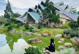 Lá Phong Đà Lạt 2026: Điểm check-in 