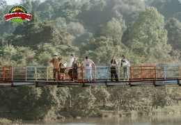 Madagui Đà Lạt: Thiên đường vui chơi, phiêu lưu giữa đại ngàn